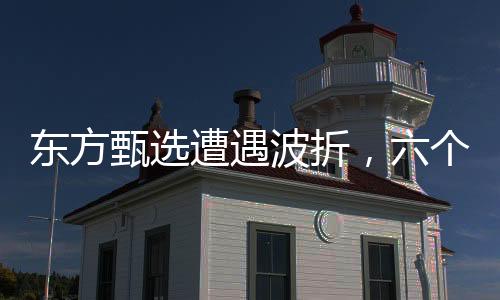 東方甄選遭遇波折，六個(gè)月內(nèi)凈虧9650.3萬(wàn)元
