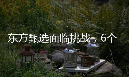 東方甄選面臨挑戰(zhàn)，6個月凈虧9650.3萬元，未來發(fā)展引人關(guān)注