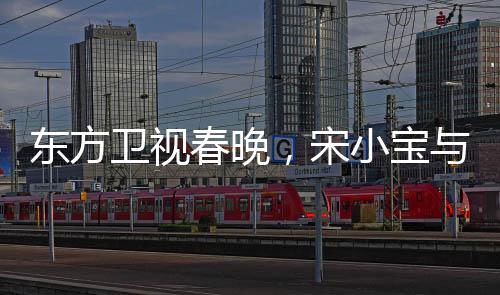 東方衛(wèi)視春晚，宋小寶與文松攜手呈現(xiàn)爆笑小品