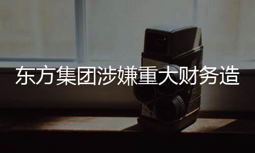 東方集團(tuán)涉嫌重大財(cái)務(wù)造假，業(yè)界震驚！全面揭示事件內(nèi)幕