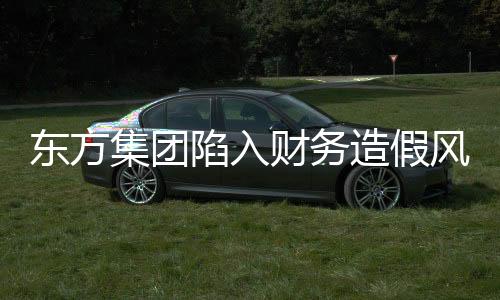 東方集團(tuán)陷入財(cái)務(wù)造假風(fēng)波，震驚市場(chǎng)