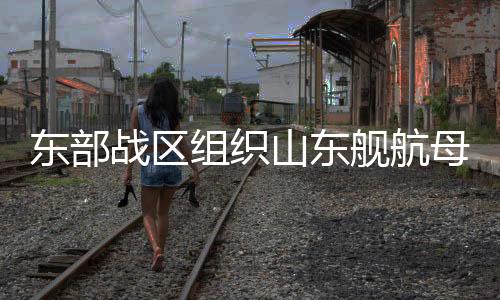 東部戰(zhàn)區(qū)組織山東艦航母編隊位臺島以東?？沼蜻M行對海對陸打擊等科目演練