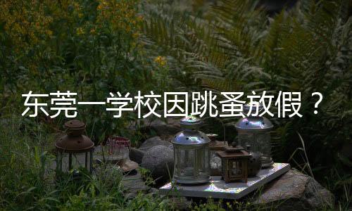 東莞一學(xué)校因跳蚤放假？教育局回應(yīng)