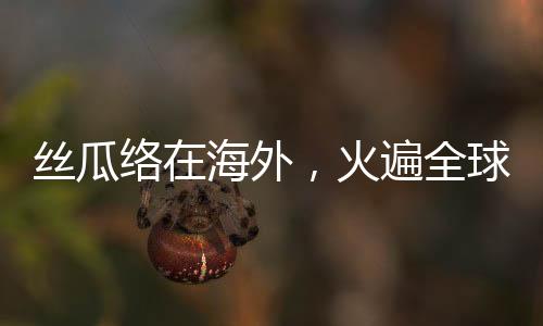 絲瓜絡(luò)在海外，火遍全球的文化與藝術(shù)之旅