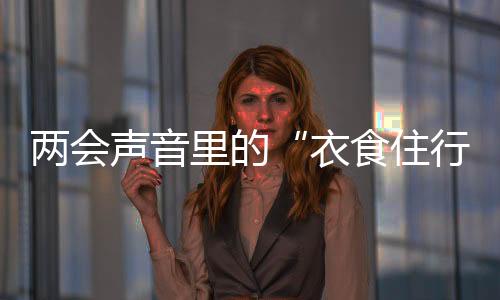 兩會聲音里的“衣食住行”