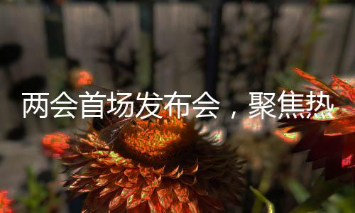 兩會首場發(fā)布會，聚焦熱點話題的深入解讀與探討（內(nèi)含標題）
