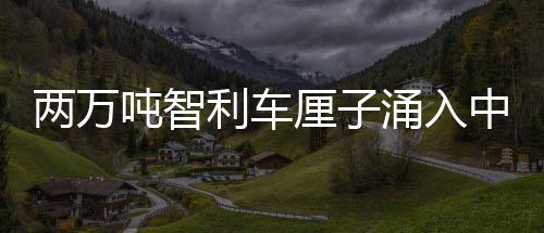 兩萬噸智利車?yán)遄佑咳胫袊袌?，傳遞多元共贏的信號