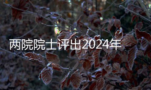 兩院院士評出2024年世界十大科技進展新聞：馬斯克“筷子”夾火箭上榜