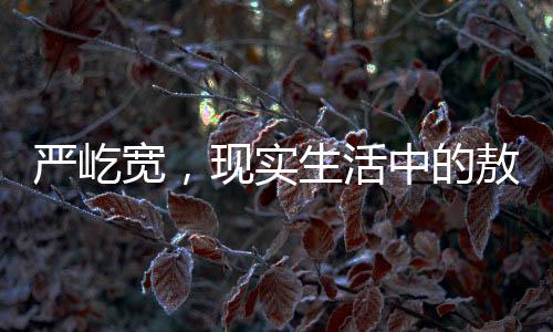 嚴(yán)屹寬，現(xiàn)實(shí)生活中的敖光形象