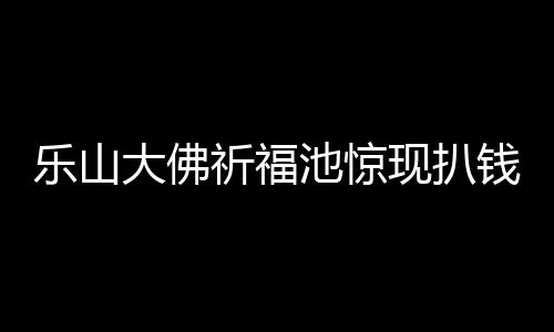 樂(lè)山大佛祈福池驚現(xiàn)扒錢事件，兩名女子公然扒走大量現(xiàn)金引發(fā)社會(huì)關(guān)注