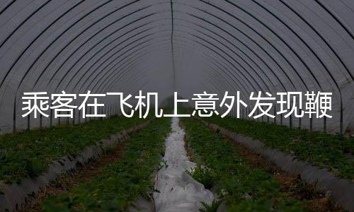 乘客在飛機(jī)上意外發(fā)現(xiàn)鞭炮，引發(fā)關(guān)注與調(diào)查