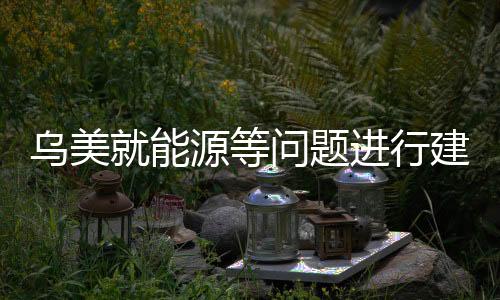 烏美就能源等問題進(jìn)行建設(shè)性討論，深化合作，共謀發(fā)展