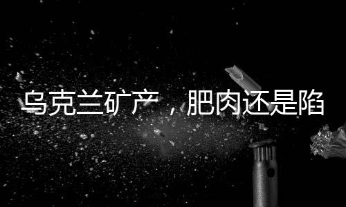 烏克蘭礦產(chǎn)，肥肉還是陷阱？——揭示迷霧之下的真相