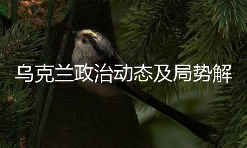 烏克蘭政治動(dòng)態(tài)及局勢(shì)解析，澤連斯基的去留與其未來發(fā)展挑戰(zhàn)分析