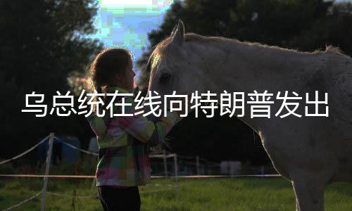 烏總統(tǒng)在線向特朗普發(fā)出呼聲，請求一通電話的聯(lián)系