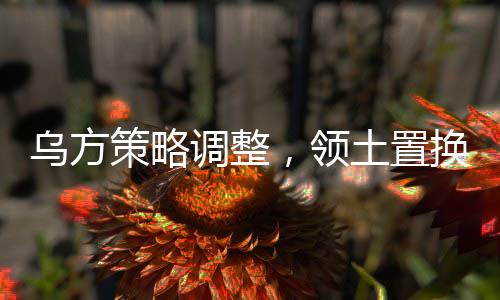 烏方策略調(diào)整，領(lǐng)土置換計(jì)劃揭秘