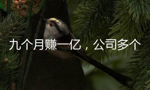 九個(gè)月賺一億，公司多個(gè)分公司注銷，業(yè)務(wù)轉(zhuǎn)型引熱議