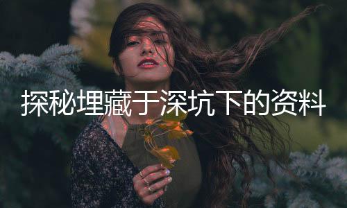 探秘埋藏于深坑下的資料寶庫，揭秘價(jià)值連城數(shù)據(jù)的深度存儲(chǔ)之旅