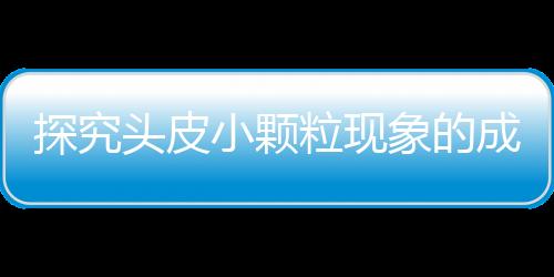 探究頭皮小顆粒現(xiàn)象的成因及解決方案