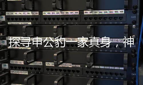 探尋申公豹一家真身，神秘動(dòng)物身份之謎
