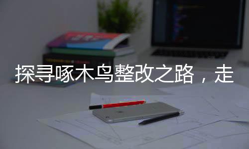 探尋啄木鳥整改之路，走向未來