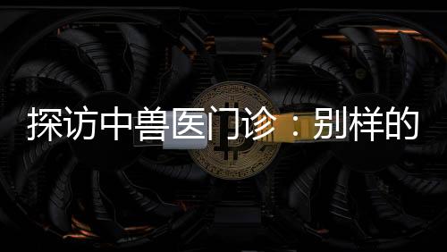 探訪中獸醫(yī)門(mén)診：別樣的診療手法進(jìn)行望、聞、問(wèn)、切