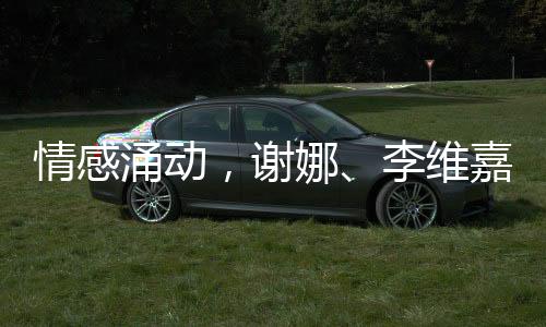 情感涌動，謝娜、李維嘉、杜海濤在節(jié)目中的真摯時刻