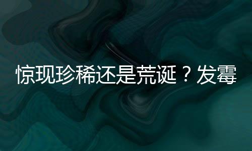 驚現(xiàn)珍稀還是荒誕？發(fā)霉橘子在二手平臺(tái)身價(jià)飆升至近六百元