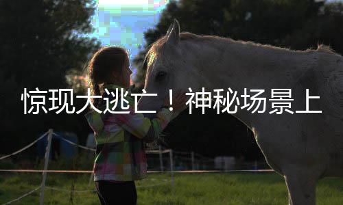 驚現(xiàn)大逃亡！神秘場景上演42頭豬的高速之旅