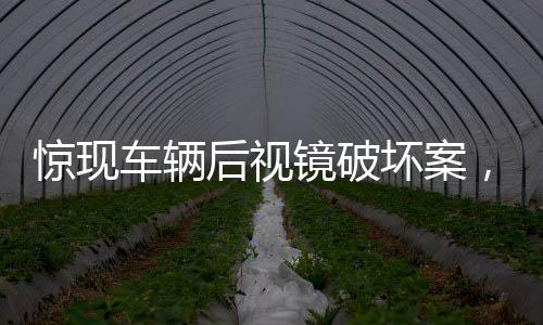 驚現(xiàn)車輛后視鏡破壞案，六十余輛私家車遭殃，警方緊急介入調(diào)查