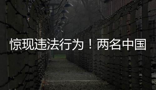 驚現(xiàn)違法行為！兩名中國(guó)男子夜?jié)擁n國(guó)寺廟偷骨灰事件調(diào)查報(bào)道