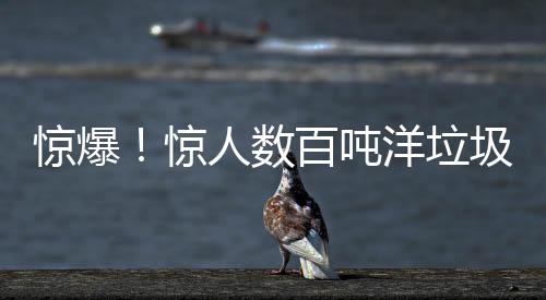 驚爆！驚人數(shù)百?lài)嵮罄獠榭?，?zhí)法行動(dòng)揭秘背后的垃圾走私鏈