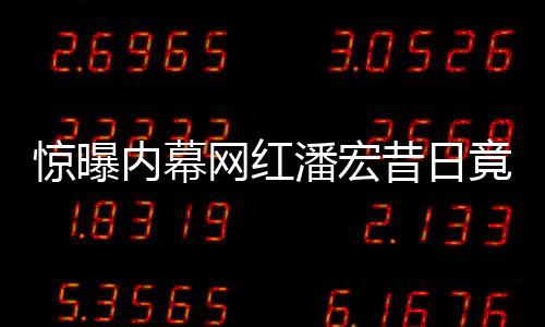 驚曝內(nèi)幕網(wǎng)紅潘宏昔日竟有刑事犯罪記錄，光環(huán)背后隱藏真相揭秘