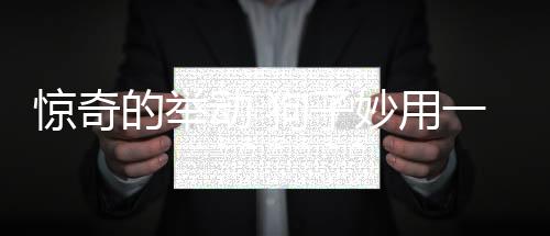 驚奇的舉動(dòng) 狗子妙用一吻化解危機(jī)，情感智慧令人驚嘆