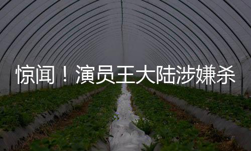 驚聞！演員王大陸涉嫌殺人未遂遭逮捕，引發(fā)社會(huì)關(guān)注
