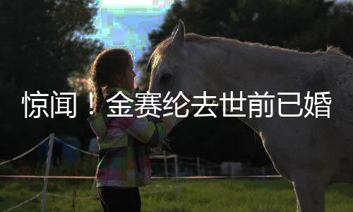 驚聞！金賽綸去世前已婚——深度解析其生平與離世影響