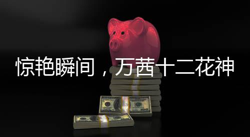 驚艷瞬間，萬茜十二花神造型引發(fā)矚目