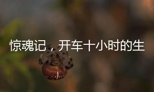 驚魂記，開車十小時的生死邊緣，奇跡避免截肢