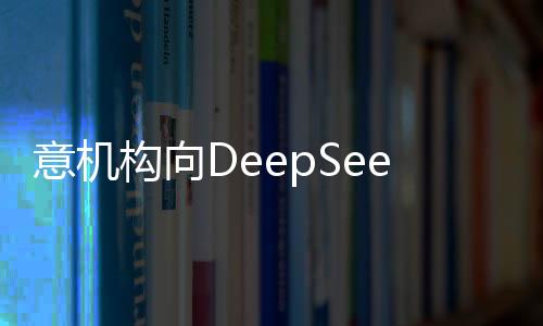 意機(jī)構(gòu)向DeepSeek提出數(shù)據(jù)保護(hù)信息要求