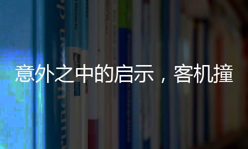 意外之中的啟示，客機(jī)撞狐貍中止起飛事件深度解析