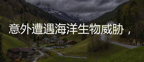 意外遭遇海洋生物威脅，男子被螃蟹夾手緊急求助消防隊(duì)