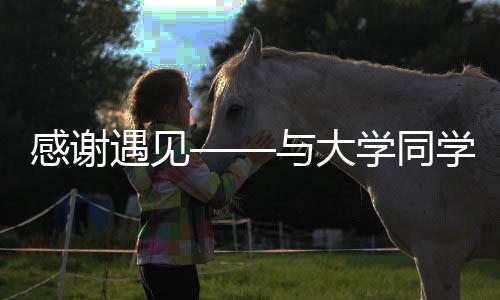 感謝遇見(jiàn)——與大學(xué)同學(xué)在餃子與華西宿舍的電力時(shí)光