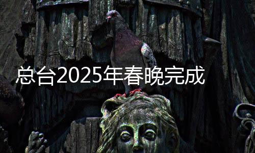 總臺2025年春晚完成全部五次彩排，精心籌備展現(xiàn)精彩盛宴