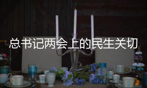 總書(shū)記兩會(huì)上的民生關(guān)切，情暖人心，筑夢(mèng)未來(lái)