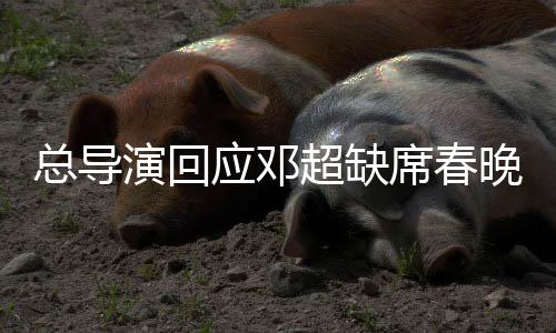 總導(dǎo)演回應(yīng)鄧超缺席春晚，原因揭秘與未來展望