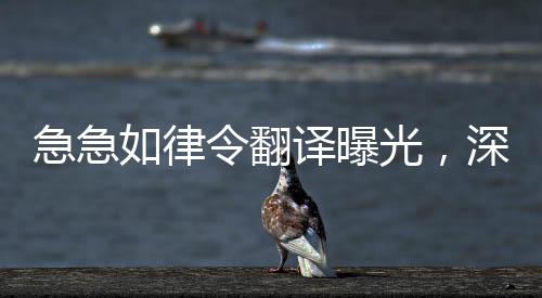 急急如律令翻譯曝光，深度探究翻譯行業(yè)的現(xiàn)狀與挑戰(zhàn)