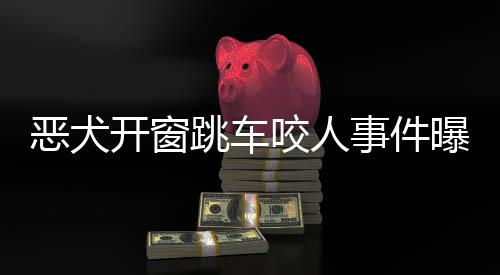 惡犬開窗跳車咬人事件曝光，呼吁強化寵物管理與安全教育