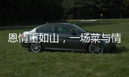 恩情重如山，一場菜與情感的奇妙邂逅
