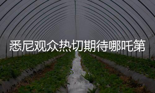 悉尼觀眾熱切期待哪吒第三部，催更熱潮掀起