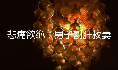悲痛欲絕，男子割肝救妻，10個月后妻子離世感人肺腑